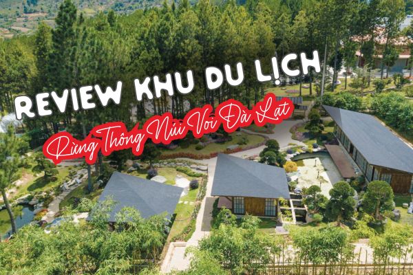 Khu du lịch Rừng Thông Núi Voi